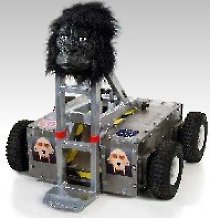 Killa Gorilla robot